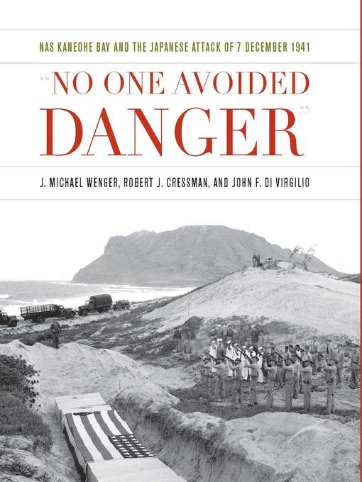 Title details for No One Avoided Danger by John F Di Virgilio - Available